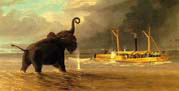 meeting on the zambezi an elephant and ma robert the livingstone ship